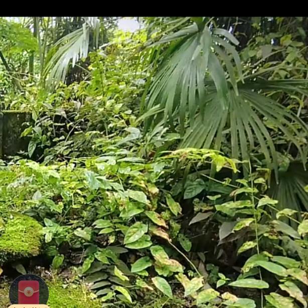 晴空万里  唯独你