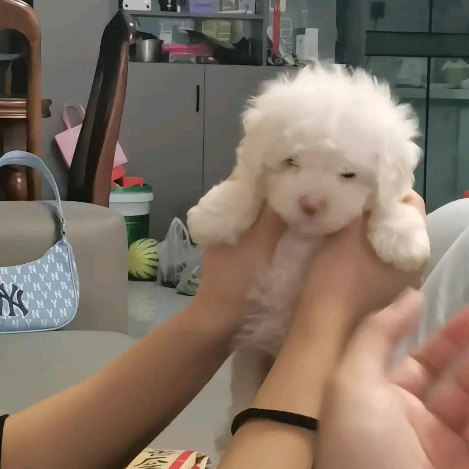 很无语.