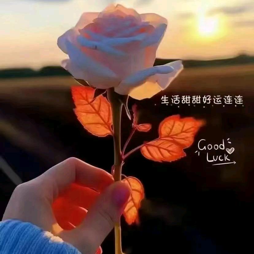 老歌经典忆回眸(直播)
