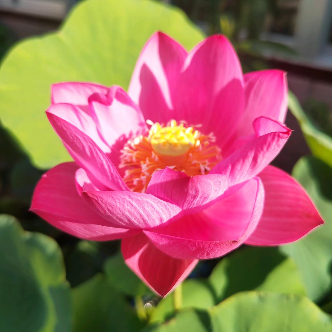 小帅爷爷