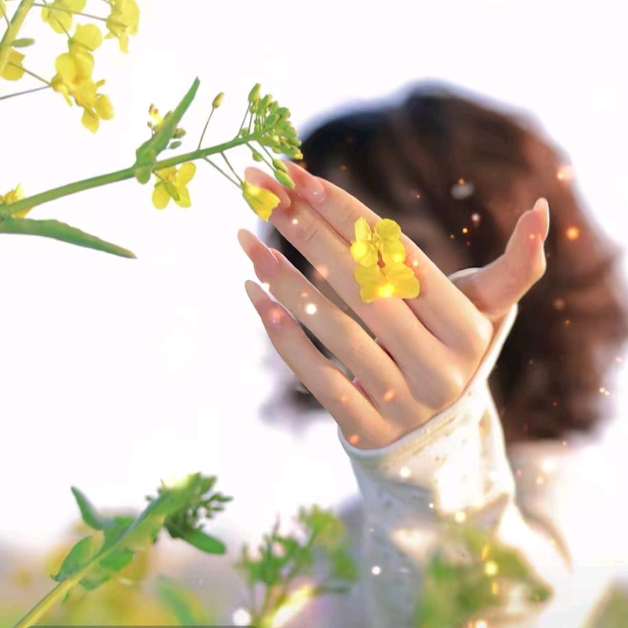 ღ💞᭄ 初见 ღ᭄💞