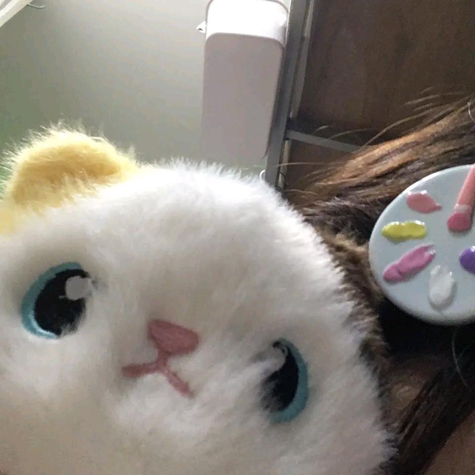 黄地
