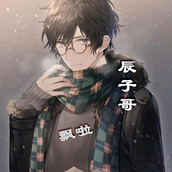 辰子哥