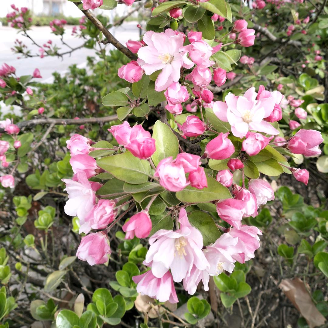 心平气和和气平心