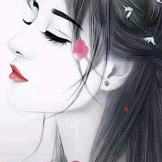 杨家将🌲