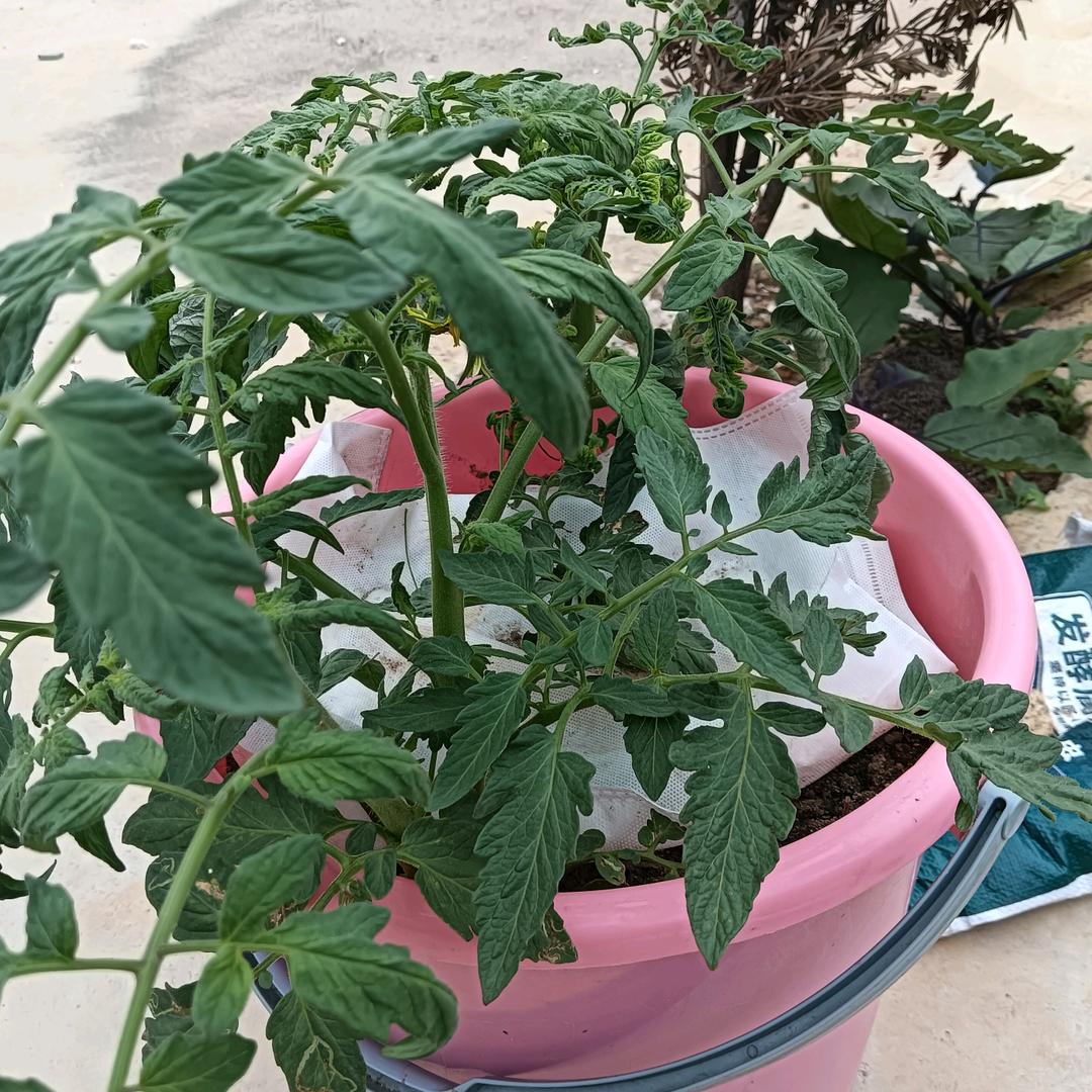 微笑留给痛我的人