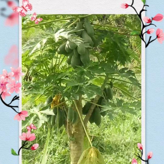 相伴永远