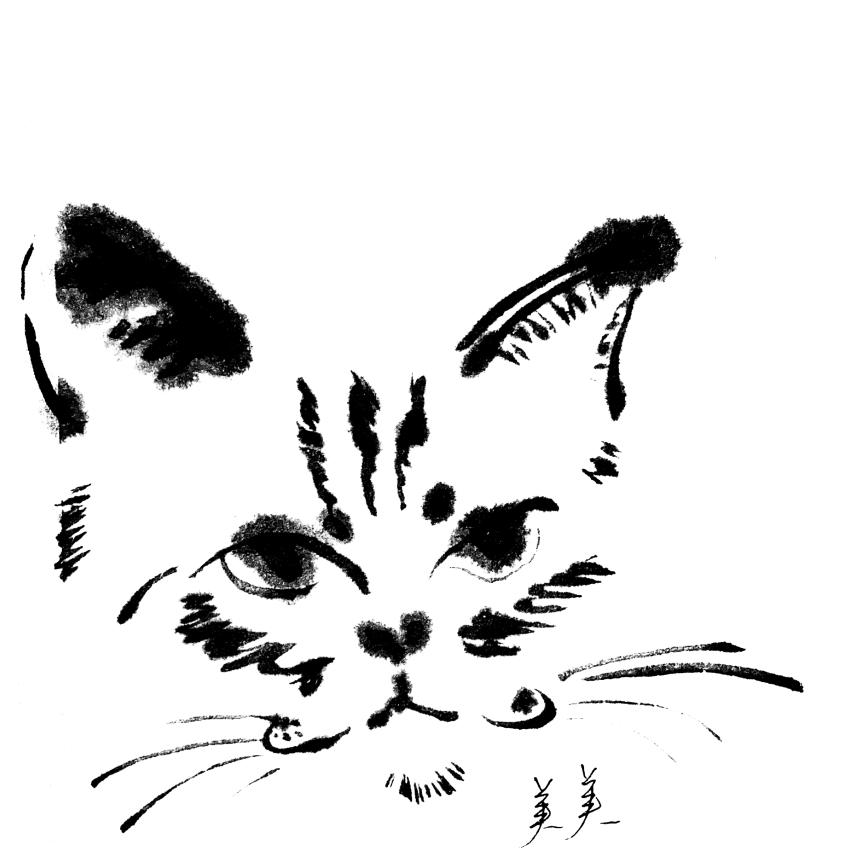 不理不理（见过易烊千玺版）