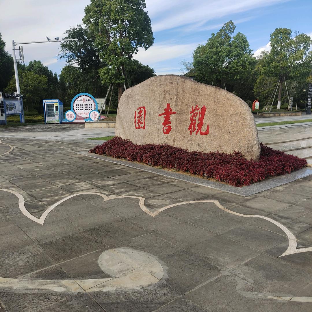 远叶星河梦