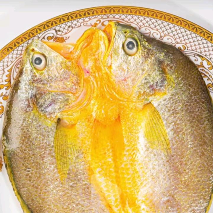 闽霞浦优选大黄鱼