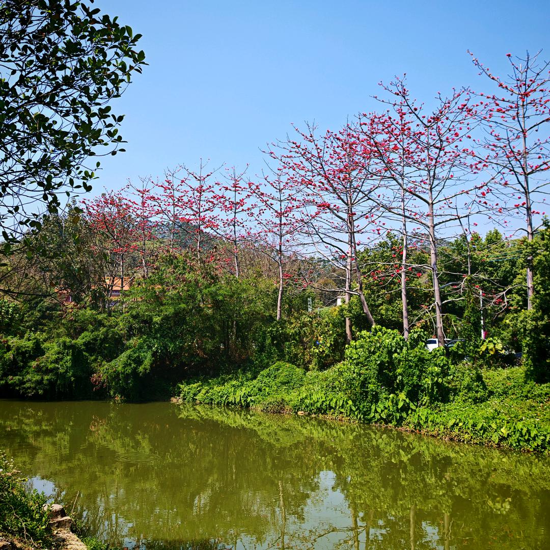 承接：滴胶、打磨胶、抹黑、液晶变色等…