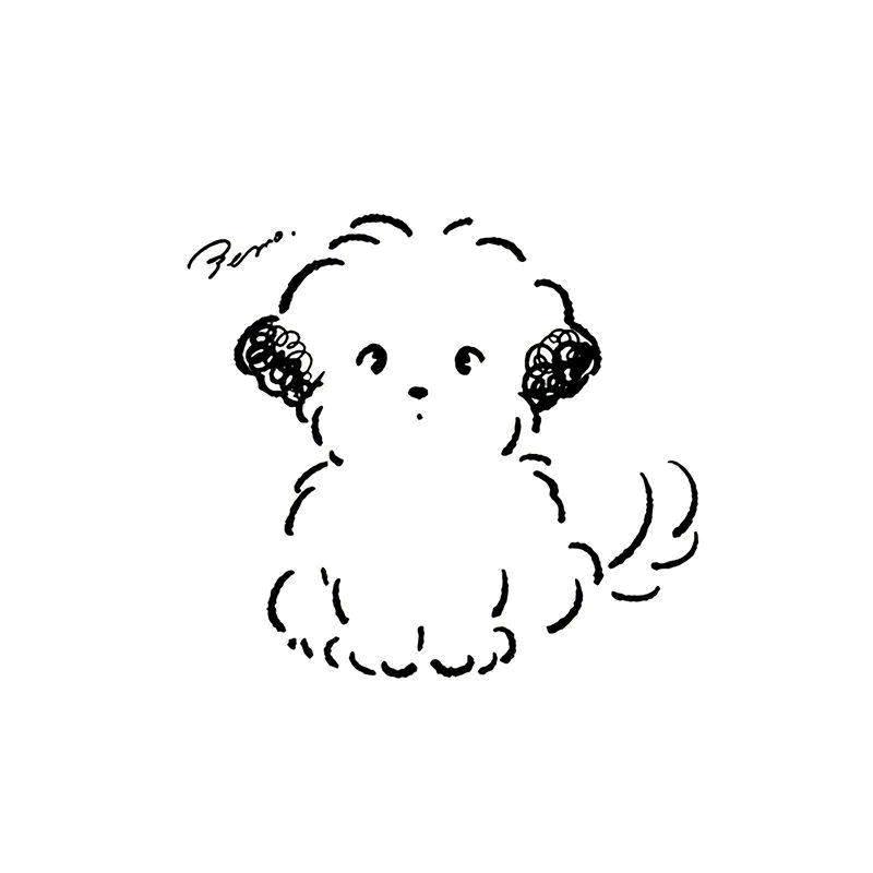罗怜草