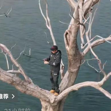 TOP-土豆丝