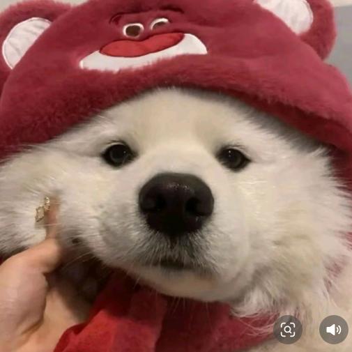 张继恺