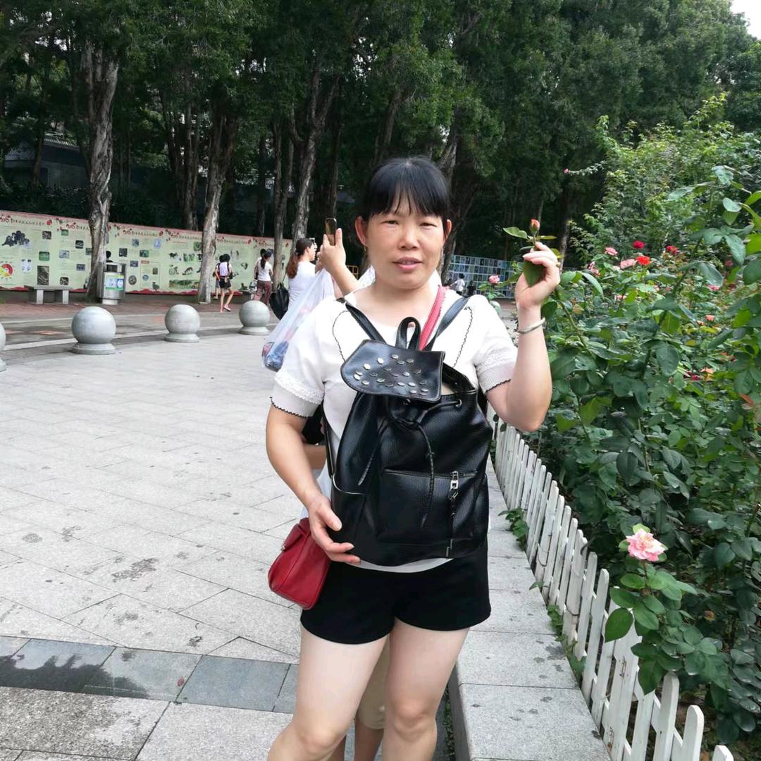 春雨（请勿连赞）