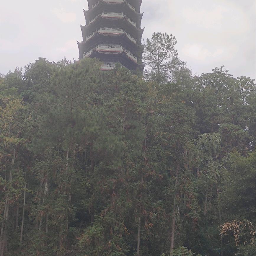 缘分告诉我。