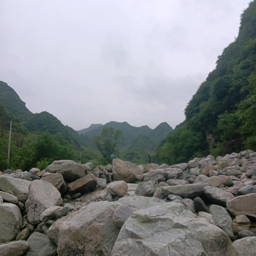 风雨中与燕子同行，