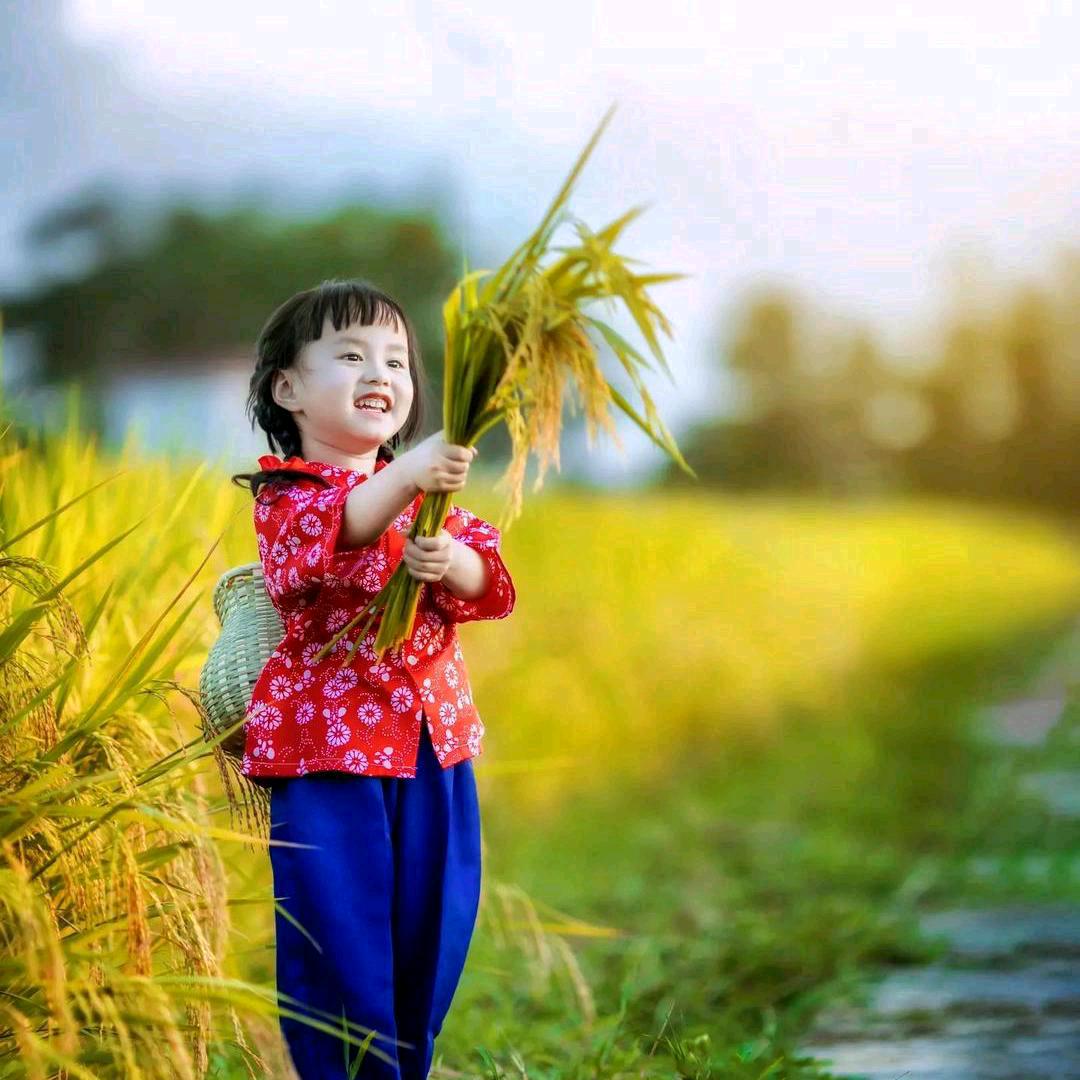 ⛄麦田守望者⛄