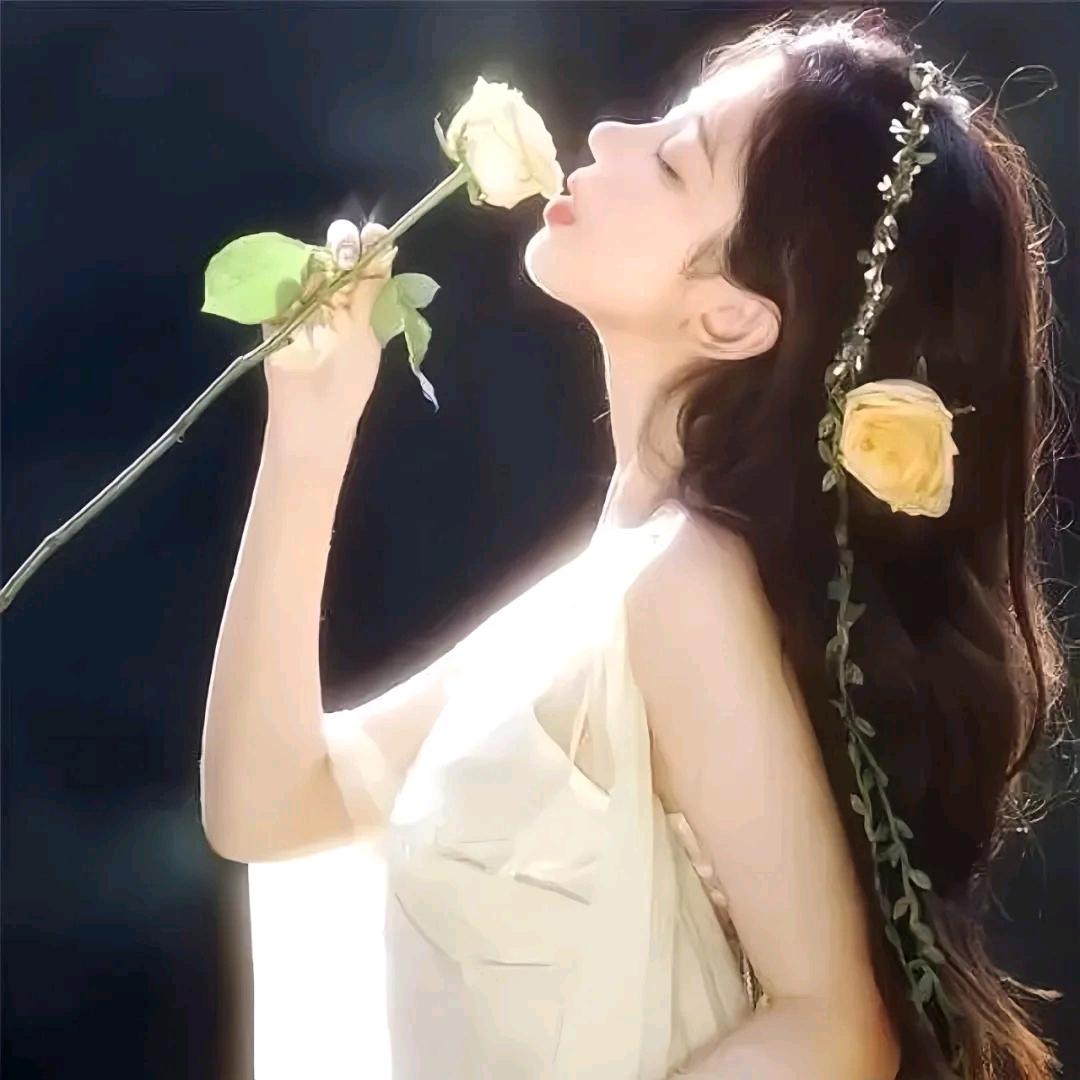 风花漫漫