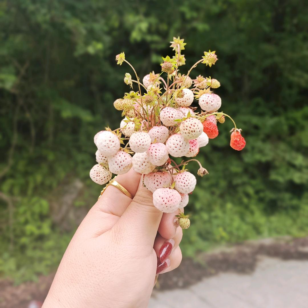 我的宝