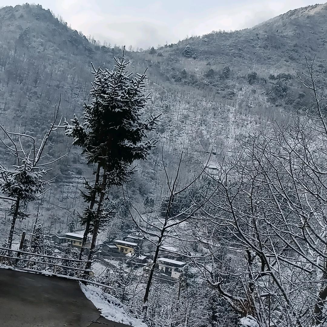 斌哥（金堂云合）