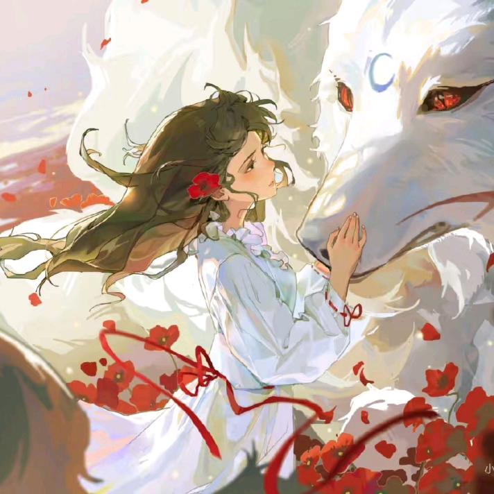 韩涵