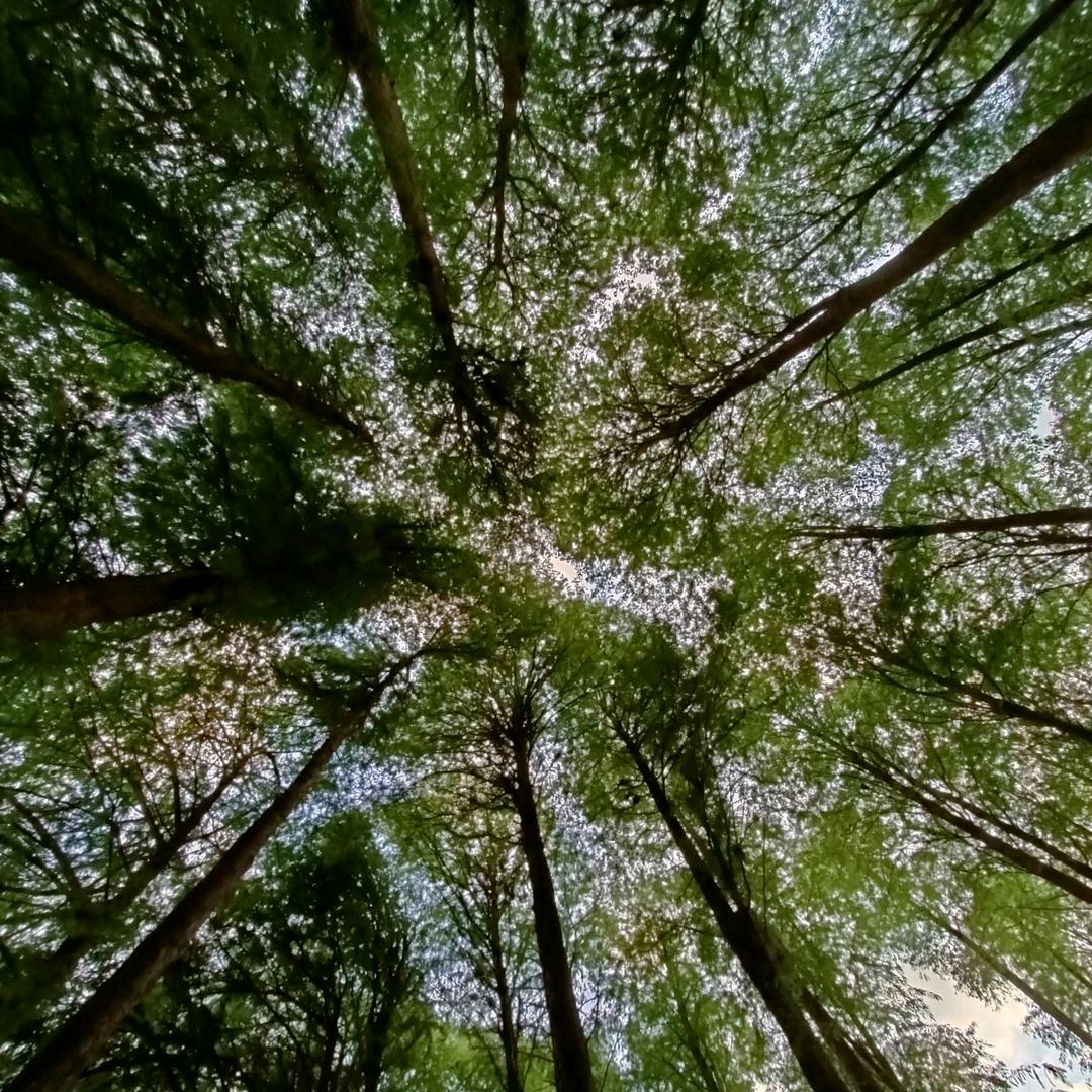 药材收纳