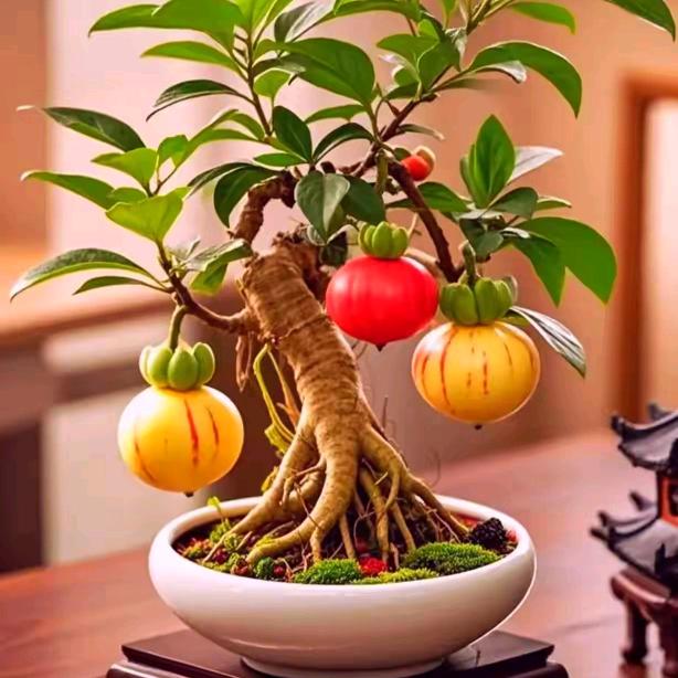 美好时光：