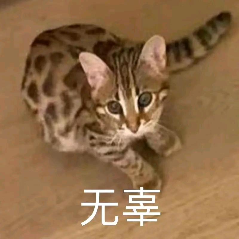 冬遇秋觐