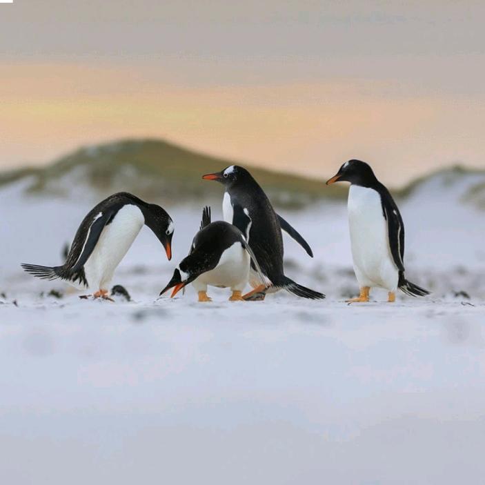 🚗🚗聚沙成塔🀄🐾