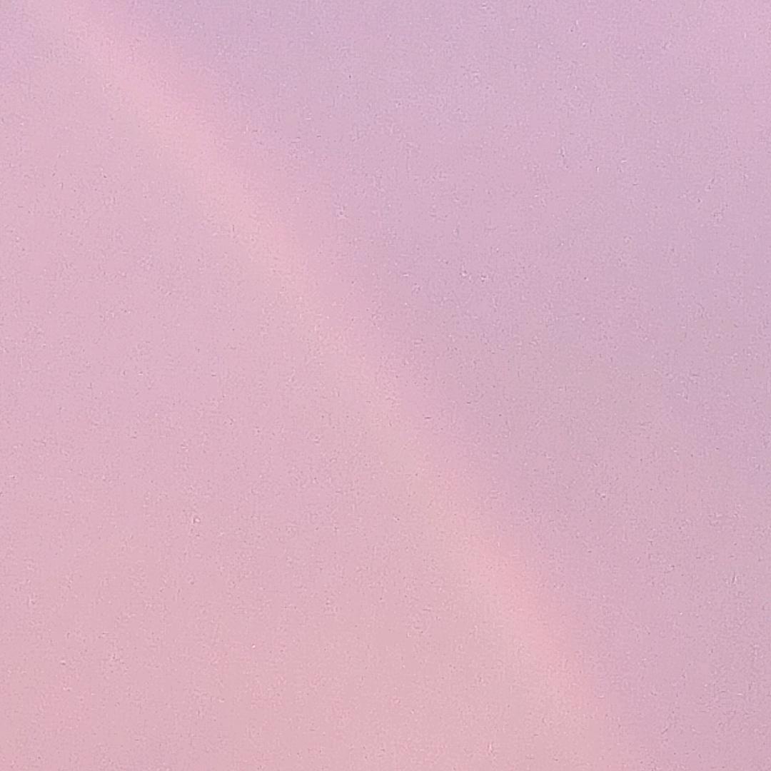 肖蒽