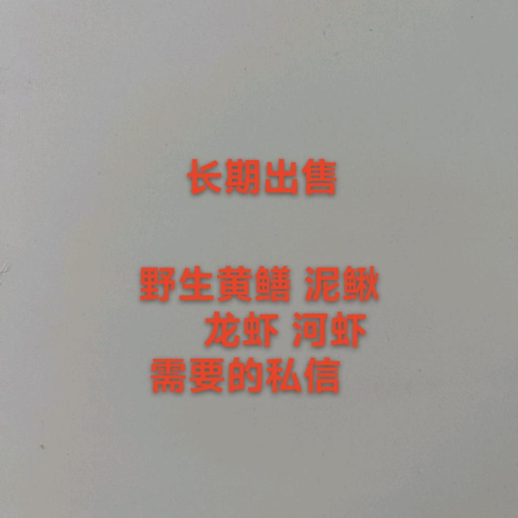 户外 小沈