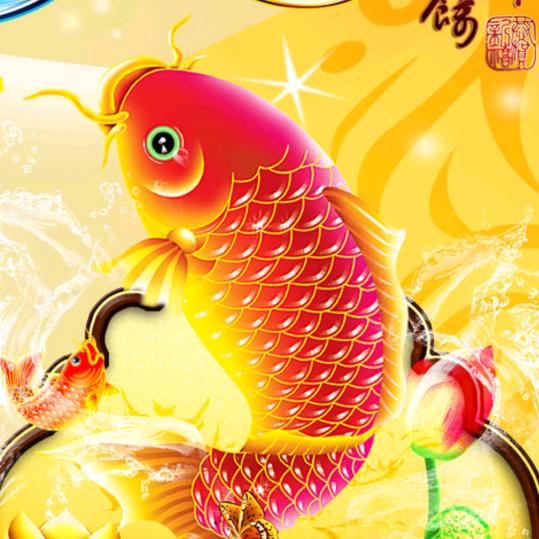 飞鱼🐟