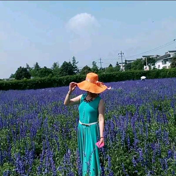 银杏～兰