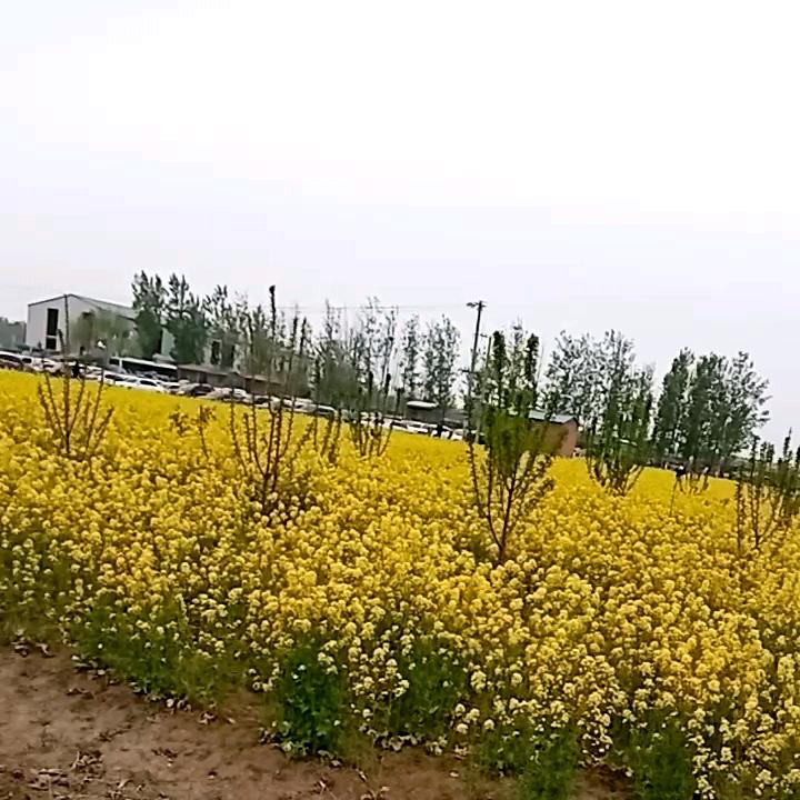 用户 43092390541