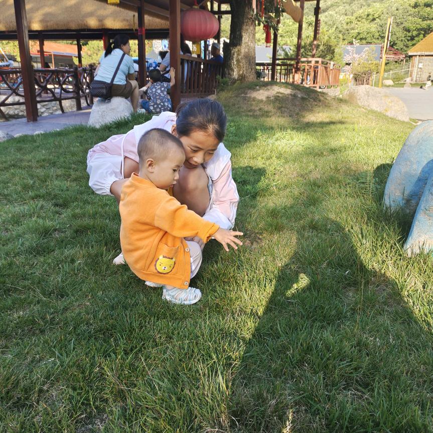 杨新
