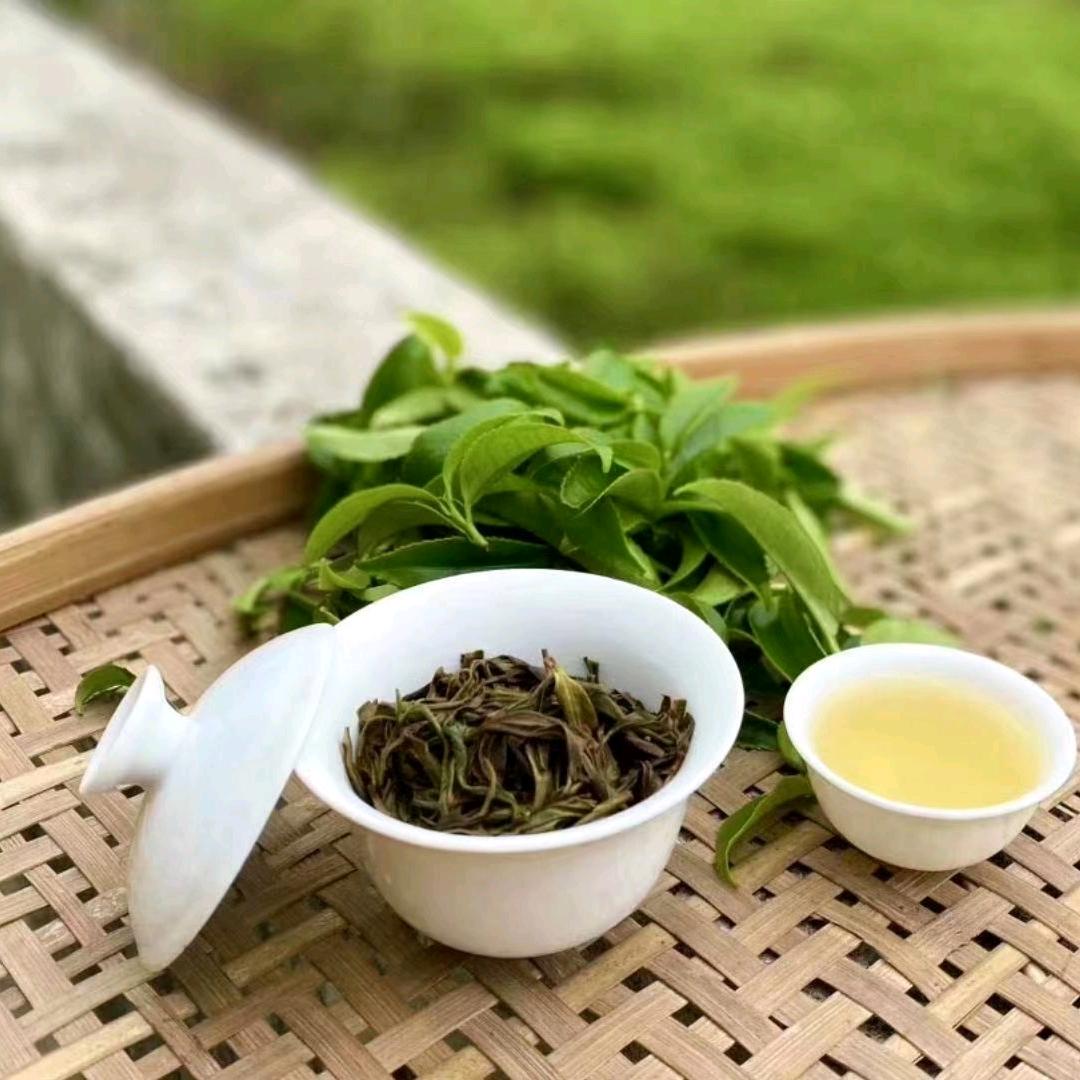有韵茶行（凤凰单丛）
