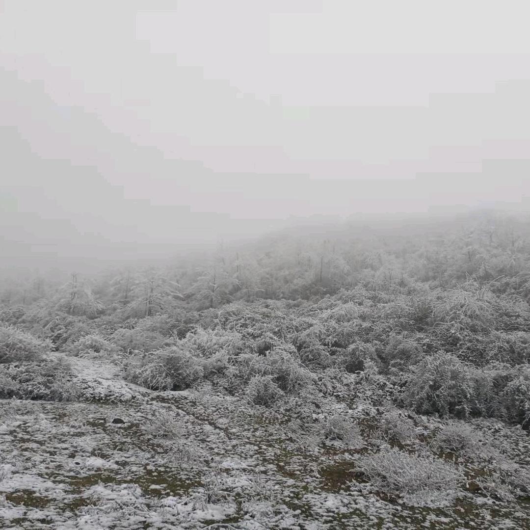 ╰☆繁华の丽☆╮