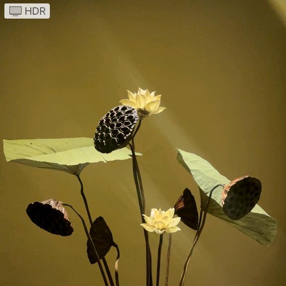 莲亦花艺作品.创意小店