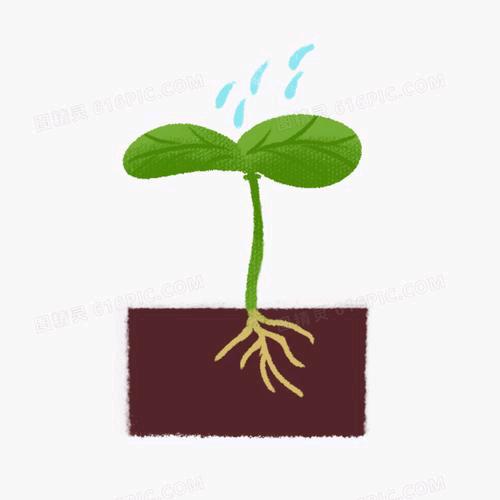 一生有爱何惧风飞沙