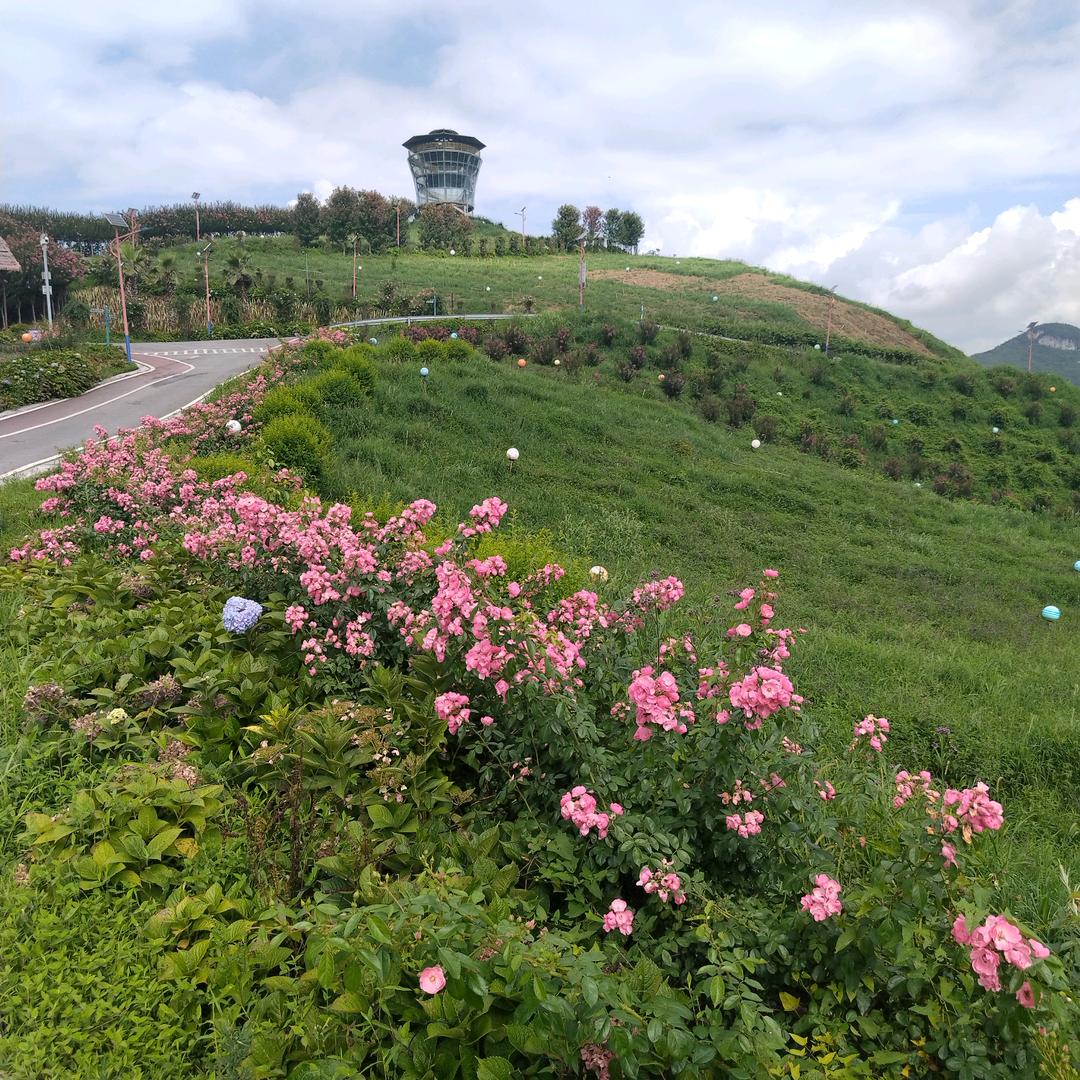 陆逍遥