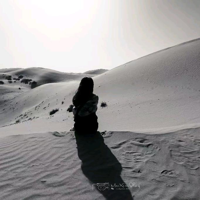 沙漠女王