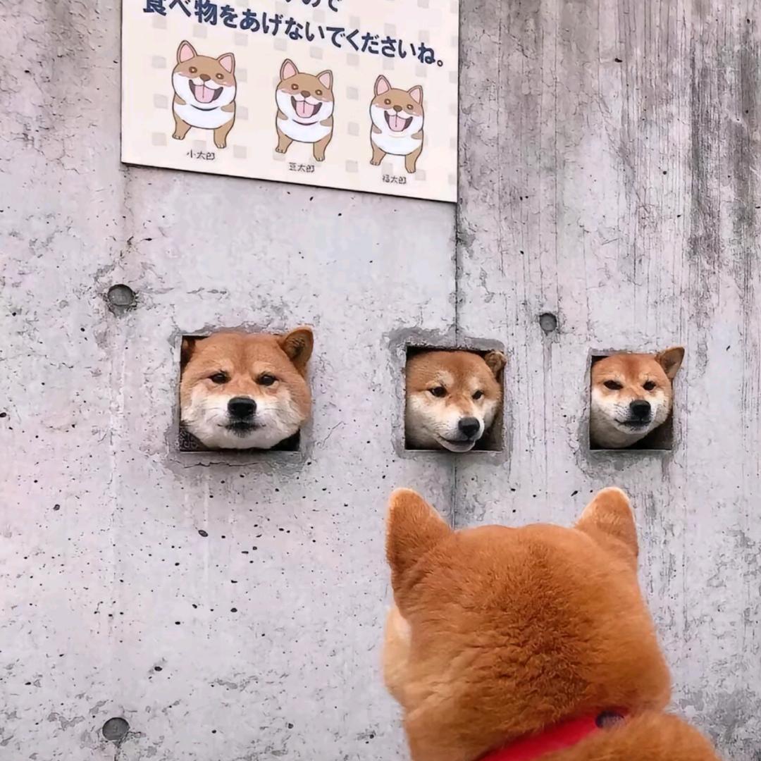 不疑