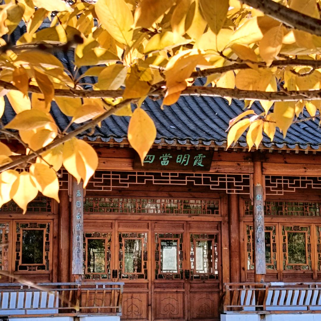 鑫鑫匯海