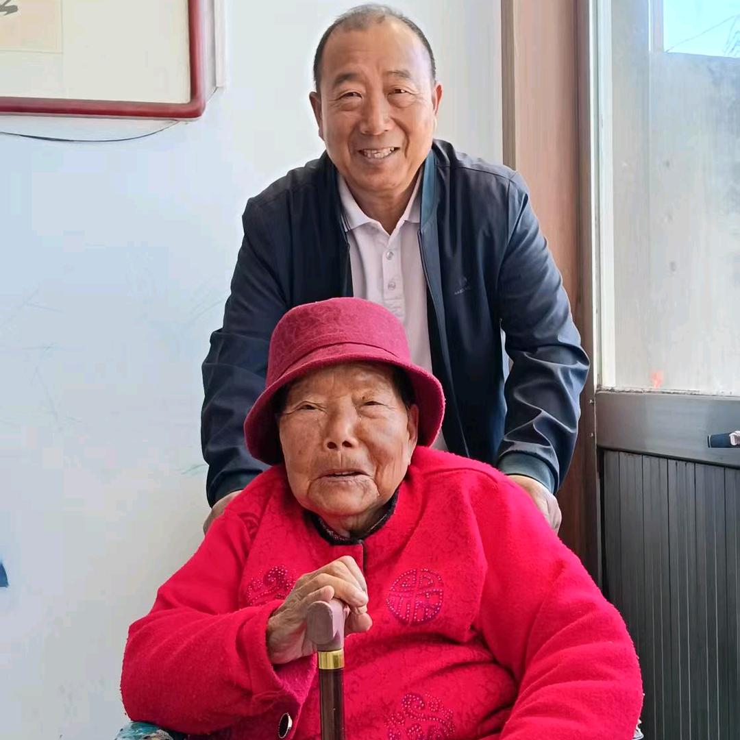 青春杨帆