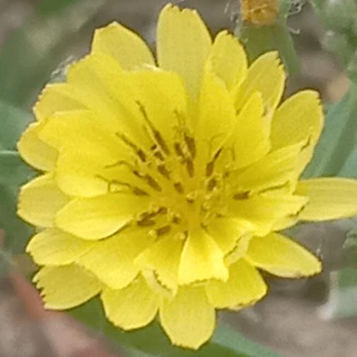 এ᭄ꦿ肉嘟嘟এ᭄ꫛꫀꪝ.