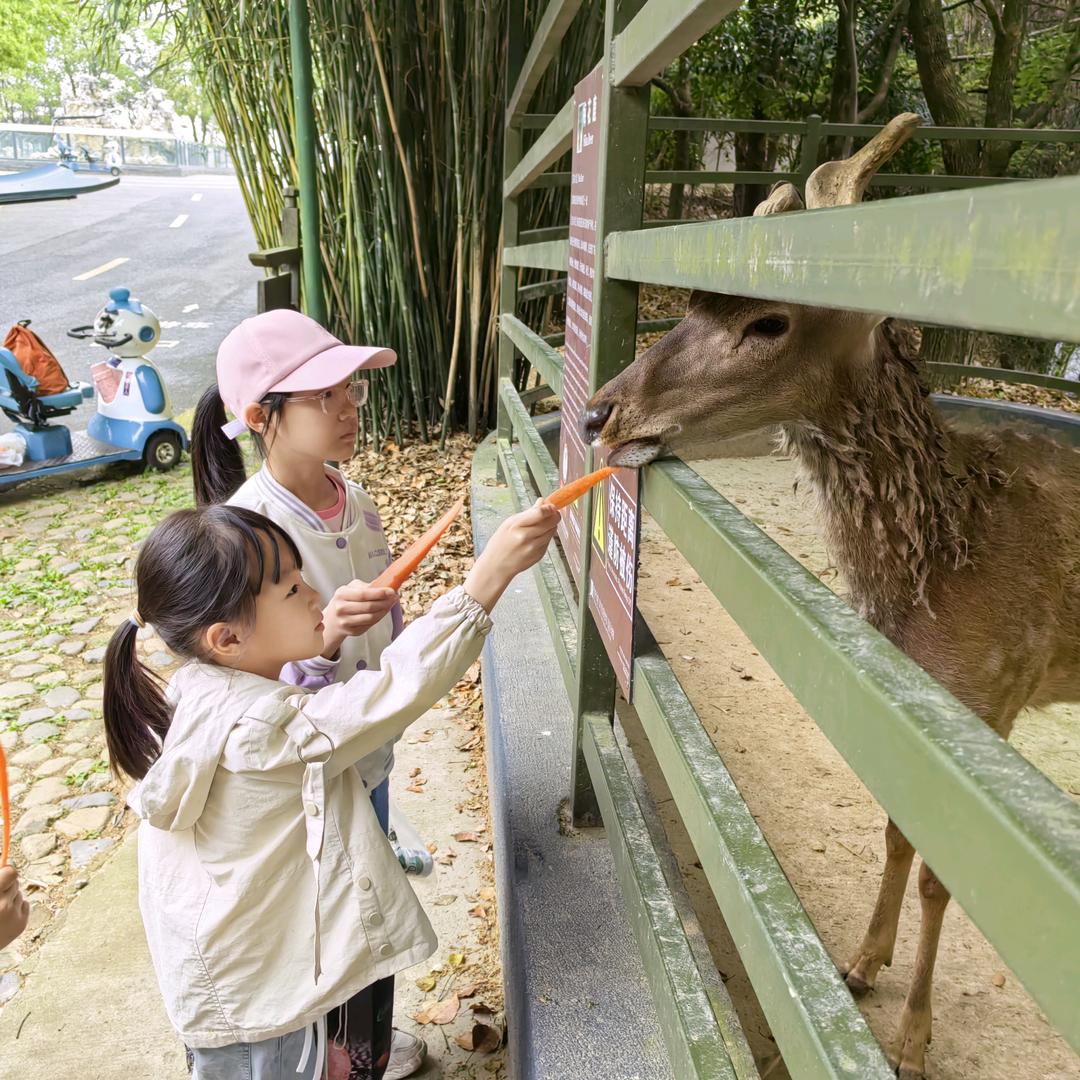 晓柠妤
