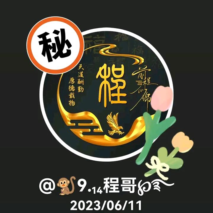 中原程哥