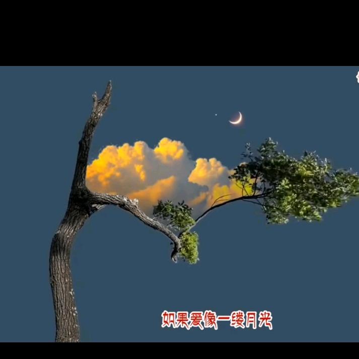 鑫宸