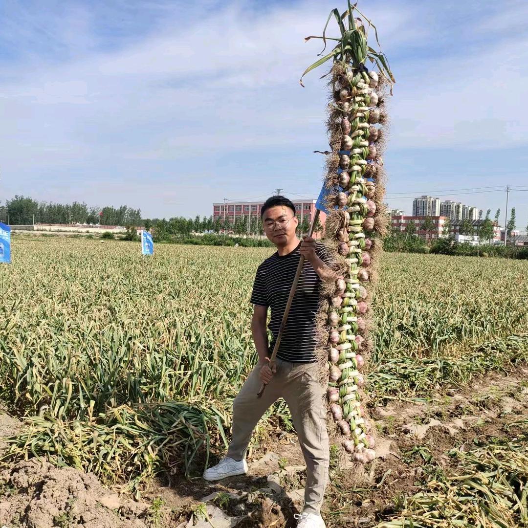 学农业的小孟
